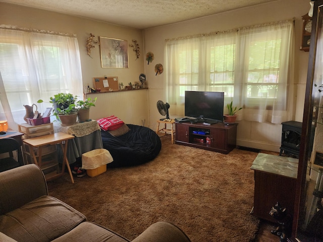 living room with a wood stove, carpet floors, and a textured ceiling