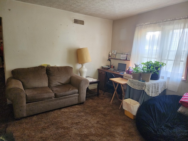 living room with dark colored carpet and a textured ceiling