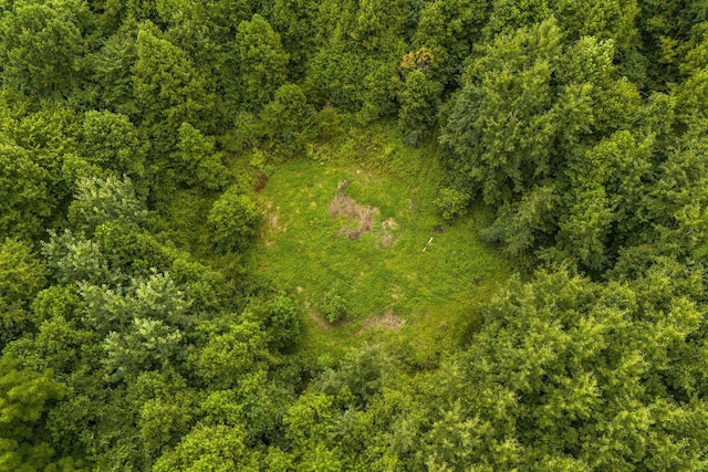 13207 Clapper Hollow Rd, Rockbridge, OH 43149 - bird's eye view