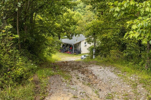 13207 Clapper Hollow Rd, Rockbridge, OH 43149 - view of front of property with dirt driveway