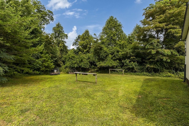 13207 Clapper Hollow Rd, Rockbridge, OH 43149 - view of green lawn