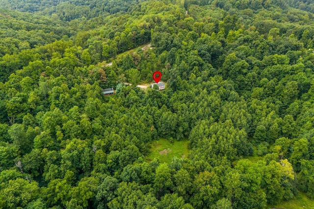 13207 Clapper Hollow Rd, Rockbridge, OH 43149 - bird's eye view of a heavily wooded area