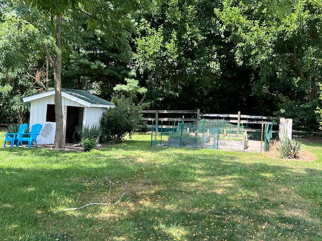 view of yard featuring a storage shed