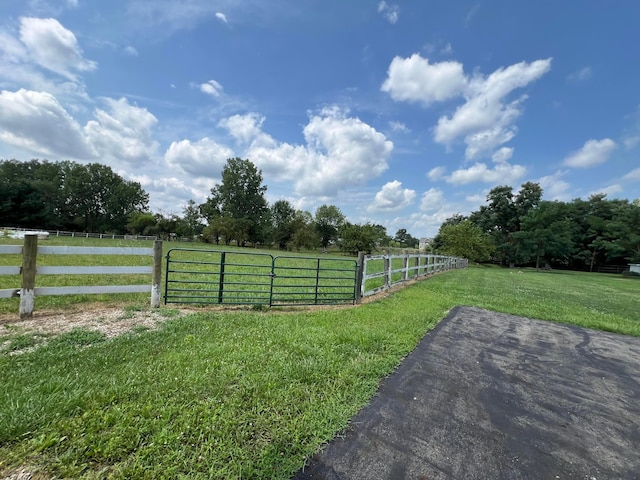 view of yard featuring a rural view