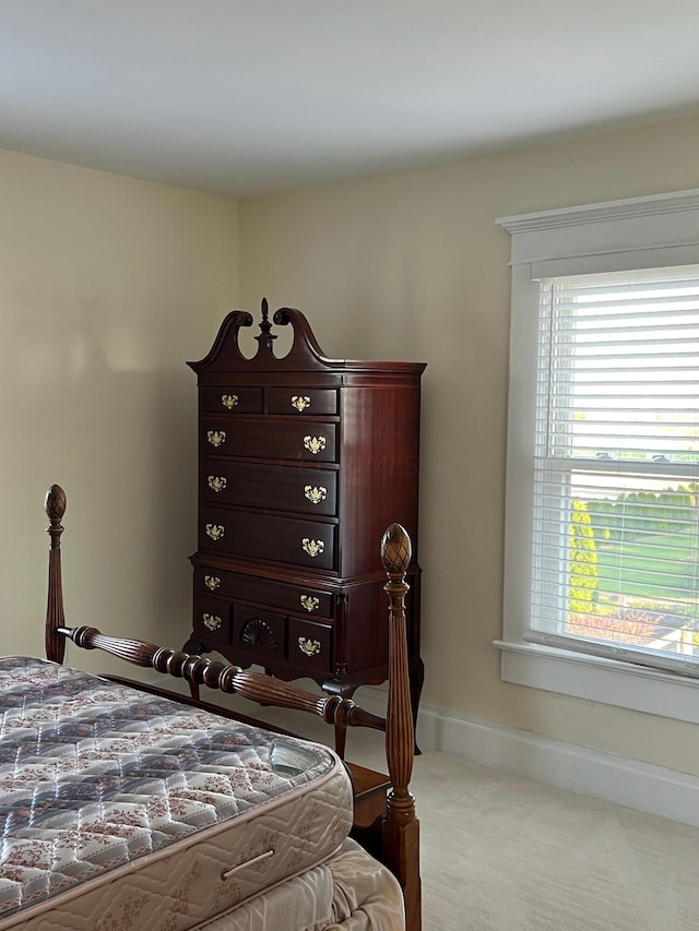 bedroom with carpet floors