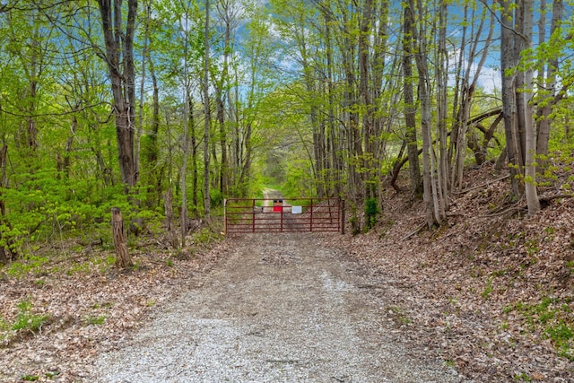 5400 Saunders Rd, Logan, OH 43138 - photo 6