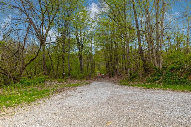 5400 Saunders Rd, Logan, OH 43138 - photo 8