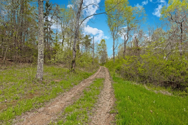 5400 Saunders Rd, Logan, OH 43138 - photo 11