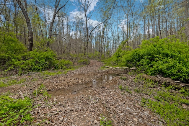 5400 Saunders Rd, Logan, OH 43138 - photo 20