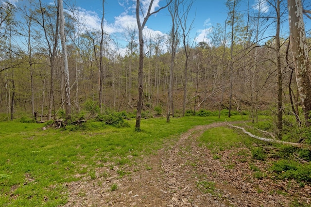5400 Saunders Rd, Logan, OH 43138 - photo 21