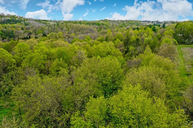 5400 Saunders Rd, Logan, OH 43138 - photo 22