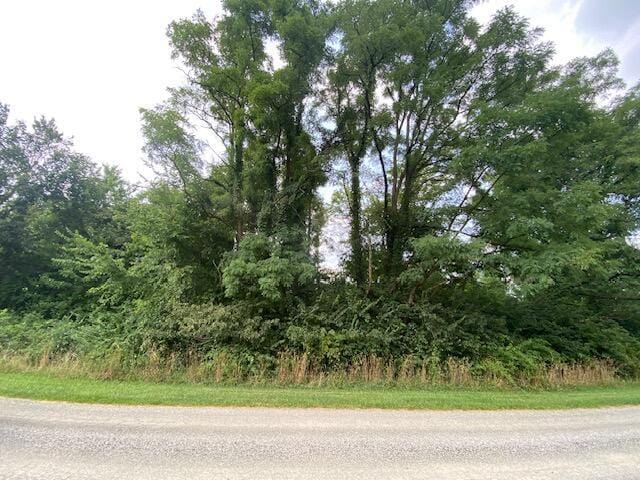 Listing photo 3 for 7326 State Route 19 Unit 7, Lot 303, Mount Gilead OH 43338