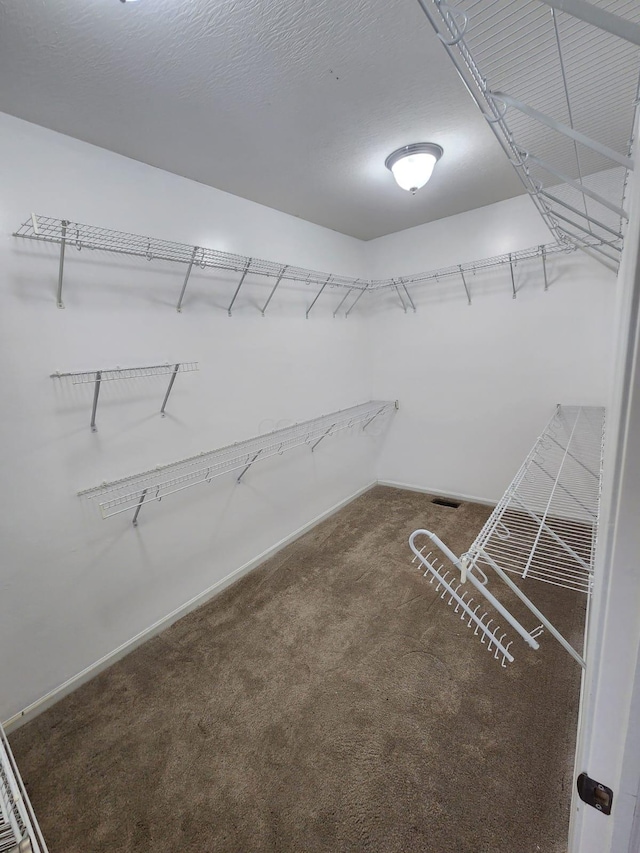 walk in closet featuring carpet flooring