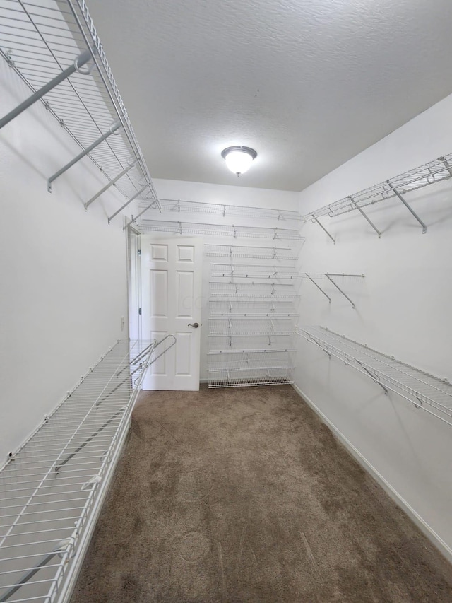 spacious closet with carpet flooring