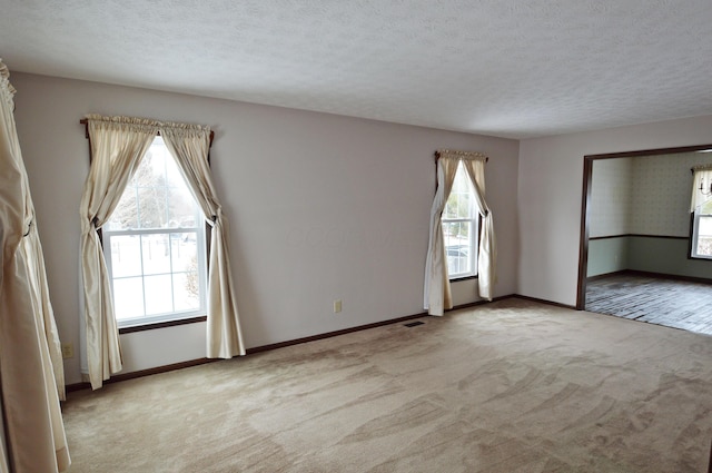 unfurnished room featuring light colored carpet and a textured ceiling