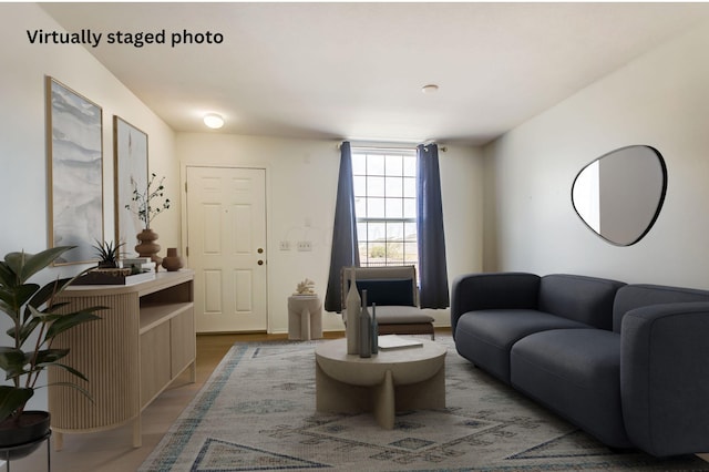 living room featuring hardwood / wood-style floors