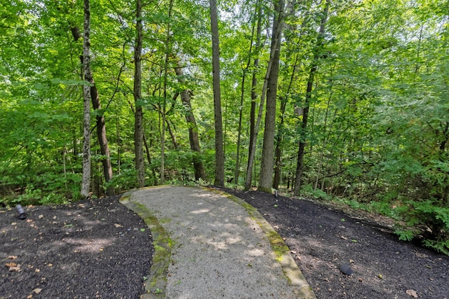 view of local wilderness