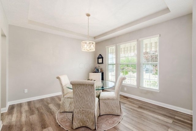 dining space with a tray ceiling, a healthy amount of sunlight, and wood-type flooring