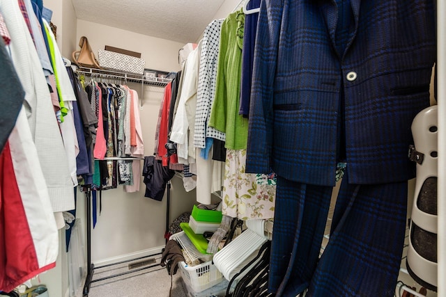 spacious closet featuring carpet flooring