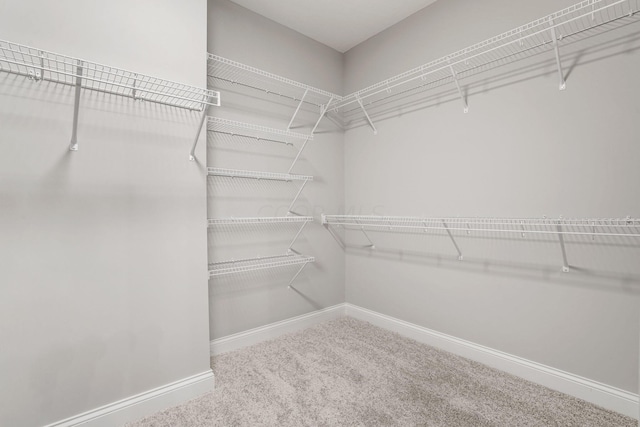 spacious closet with carpet floors