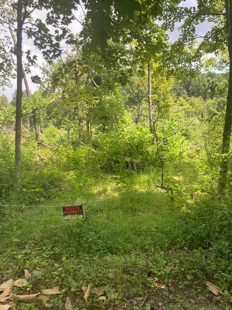 0 E Fork Rd, Laurelville OH, 43135 land for sale