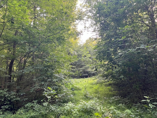 0 Norton Rd, Radnor, OH 43066
