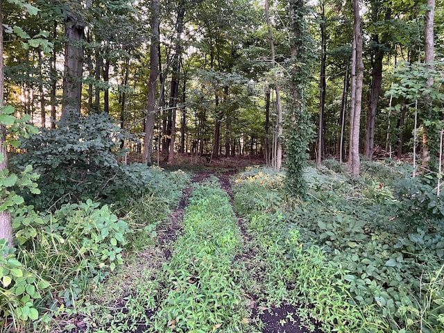 0 Norton Rd, Radnor, OH 43066