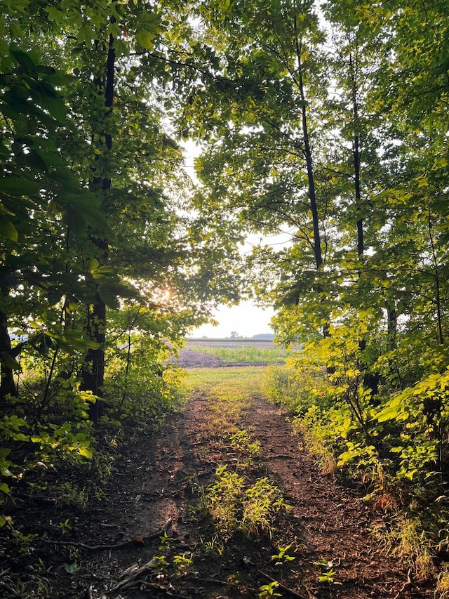 0 Norton Rd, Radnor, OH 43066