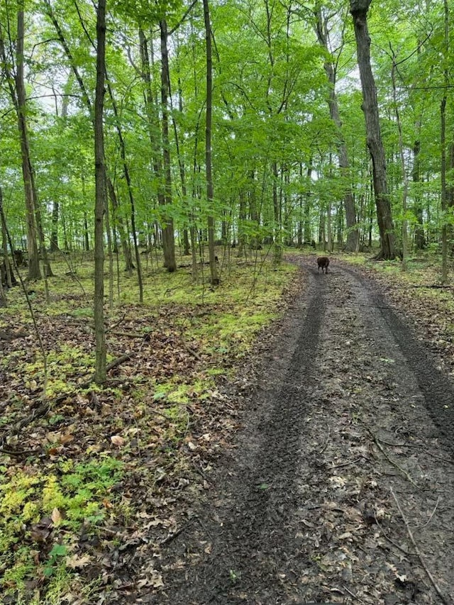 0 Norton Rd, Radnor, OH 43066