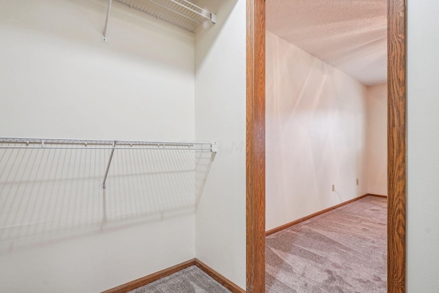 walk in closet featuring carpet floors