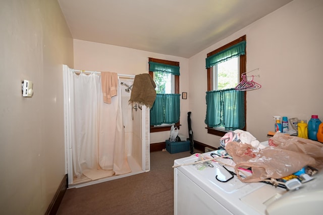 laundry area featuring carpet floors