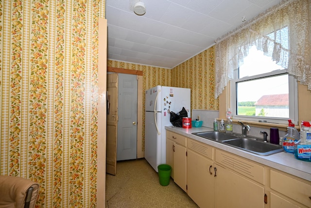 kitchen featuring sink and white refrigerator