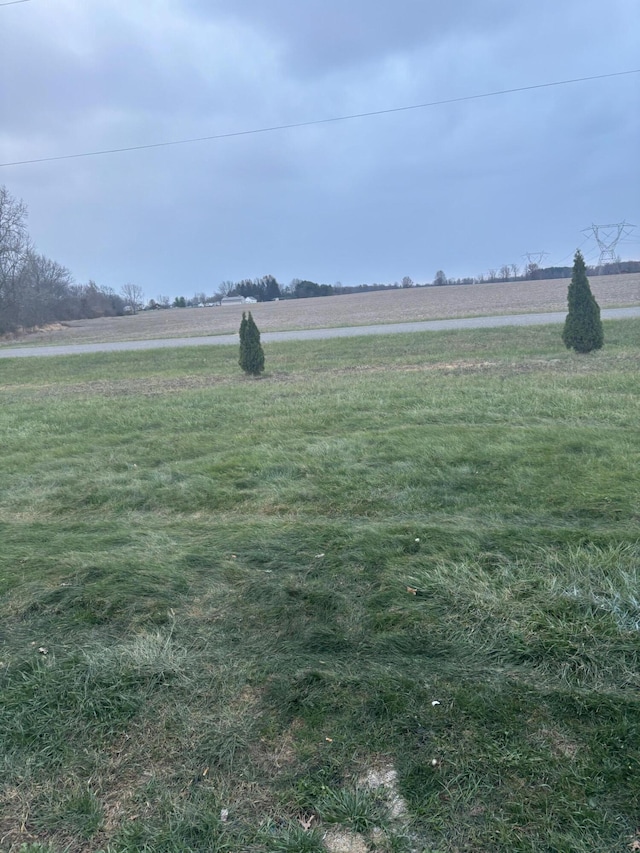 view of yard with a rural view