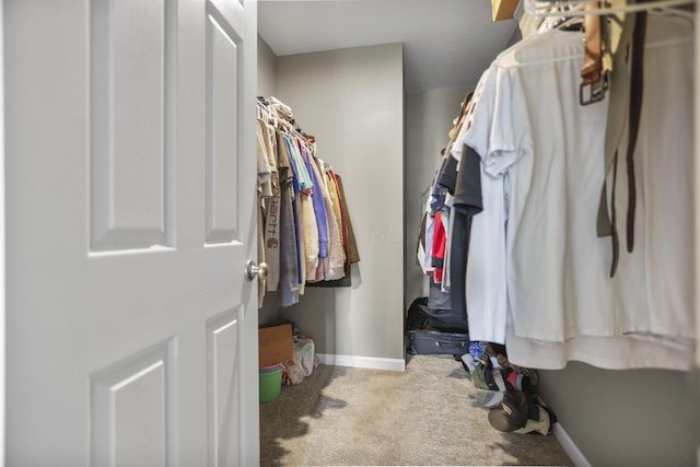 spacious closet with carpet