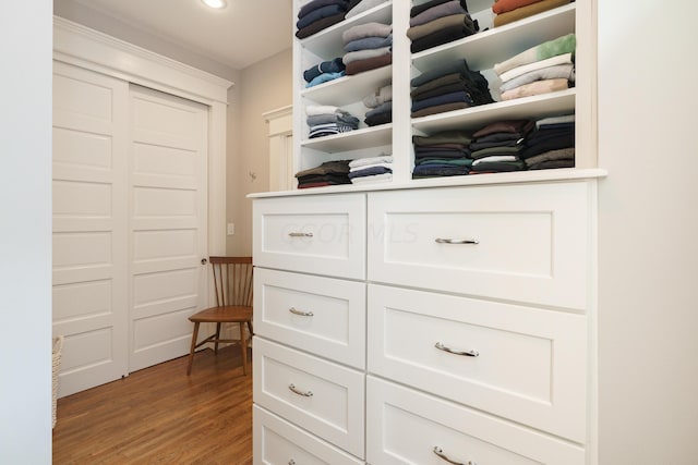 spacious closet featuring wood-type flooring