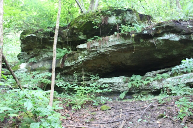 view of landscape