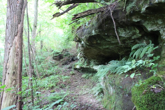 view of landscape