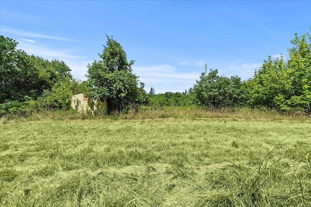 7888 Mingo Lewisburg Rd, North Lewisburg, OH 43060 - view of yard