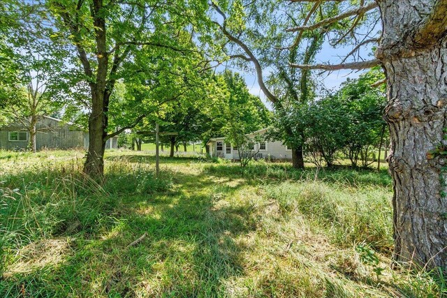 7888 Mingo Lewisburg Rd, North Lewisburg, OH 43060 - view of yard