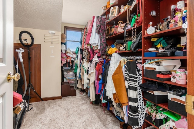 spacious closet featuring carpet floors