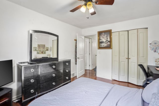 bedroom featuring ceiling fan, dark hardwood / wood-style flooring, and a closet