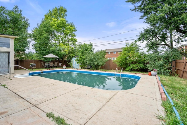 view of pool featuring a patio area and a shed