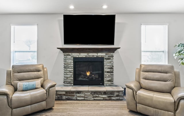 living room featuring wood-type flooring, a stone fireplace, and a wealth of natural light