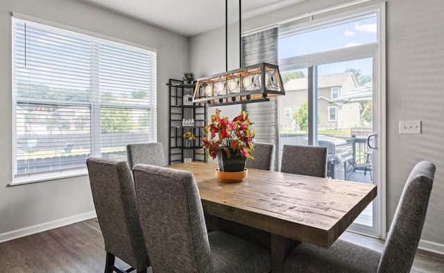 dining space with plenty of natural light and dark hardwood / wood-style flooring