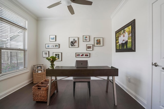 office with crown molding, ceiling fan, and dark wood-type flooring