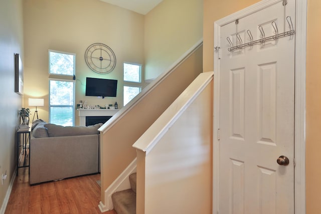 stairway with hardwood / wood-style floors