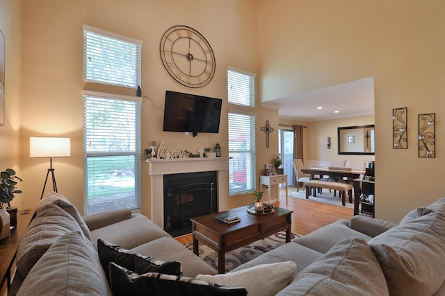 living room featuring hardwood / wood-style floors, a towering ceiling, and a wealth of natural light