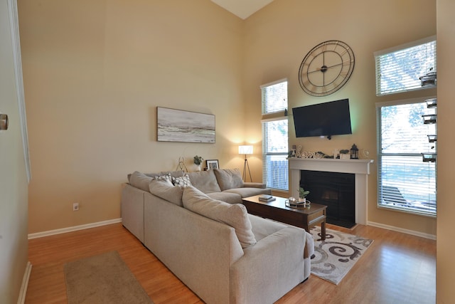 living room with light hardwood / wood-style flooring and a high ceiling