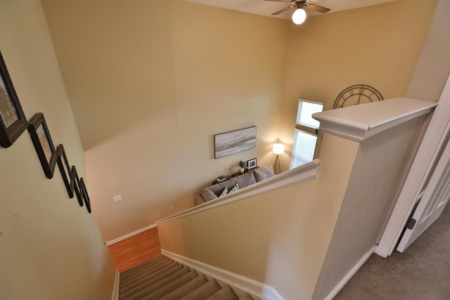 staircase with ceiling fan and carpet floors