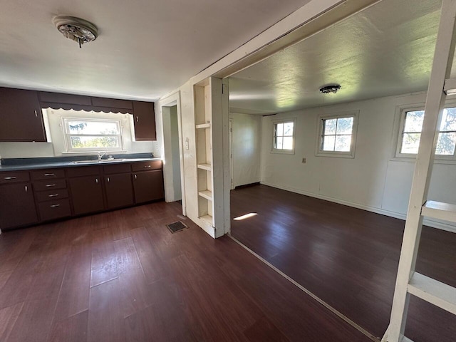 kitchen with dark brown cabinetry, dark wood-type flooring, and sink